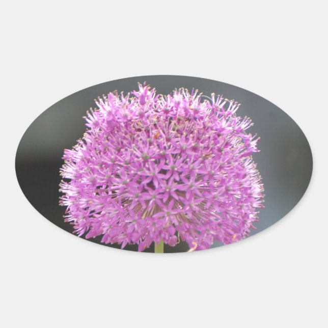 Blume für alle ovaler aufkleber (Vorderseite)