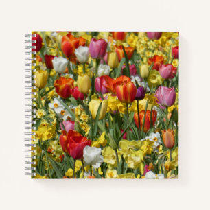 Blume für bunte Tulips und Daffodien Notizbuch