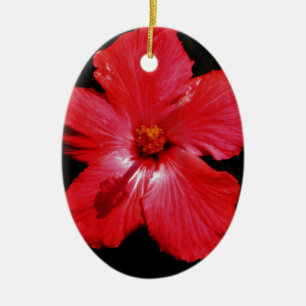 Blume für den roten Hibiskus in Rot Keramik Ornament