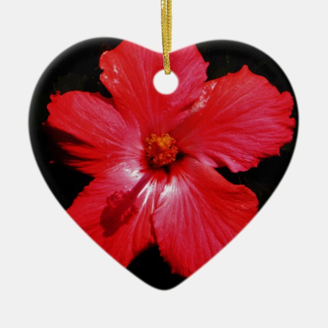 Blume für den roten Hibiskus in Rot Keramikornament (Vorne)