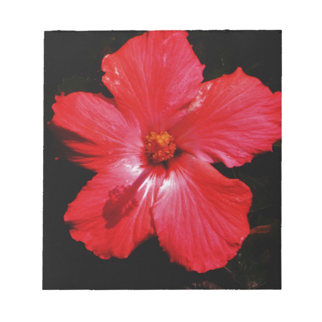 Blume für den roten Hibiskus in Rot Notizblock (Vorderseite)