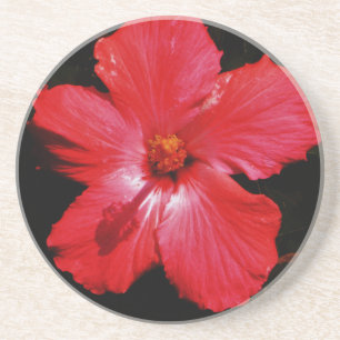 Blume für den roten Hibiskus in Rot Sandstein Untersetzer