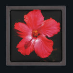 Blume für den roten Hibiskus in Rot Schachtel<br><div class="desc">Wunderschönes Foto einer Blume in Rosa Rot Hibiskus auf Schwarz von der Künstlerin Sandra Marie Closs. Fügen Sie Ihren eigenen Text, Namen oder Monogramm hinzu, um das perfekte Produkt für jeden Anlass zu erstellen. Hochzeit, Brautparty Garten Party, Beileid , Geburtstag, Babydusche, jede Feier oder nur um Ihren Tag ein wenig...</div>