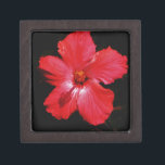 Blume für den roten Hibiskus in Rot Schachtel<br><div class="desc">Wunderschönes Foto einer Blume in Rosa Rot Hibiskus auf Schwarz von der Künstlerin Sandra Marie Closs. Fügen Sie Ihren eigenen Text, Namen oder Monogramm hinzu, um das perfekte Produkt für jeden Anlass zu erstellen. Hochzeit, Brautparty Garten Party, Beileid , Geburtstag, Babydusche, jede Feier oder nur um Ihren Tag ein wenig...</div>