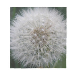 Blume für die Anbringung von Lüster Notizblock