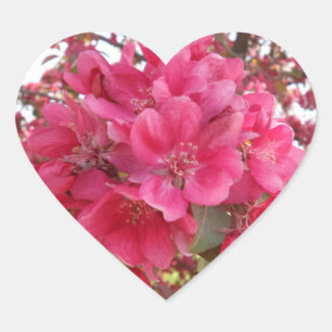 Blume für die Frühjahrszeit Herz-Aufkleber
