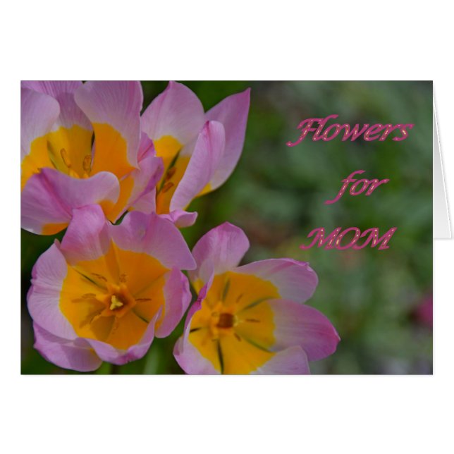 Blume für die Mama (Vorderseite (Horizontal))