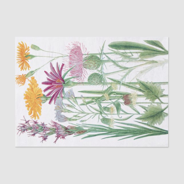 Blume für Felgen mit benutzerdefiniertem Farbtafel Seidenpapier (Vorderseite)
