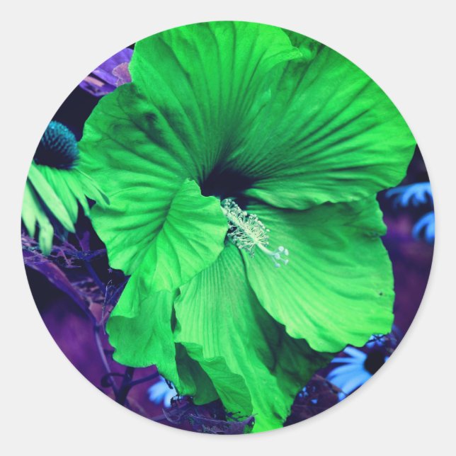 Blume für grünen Hibiskus Abstrakt Runder Aufkleber (Vorderseite)