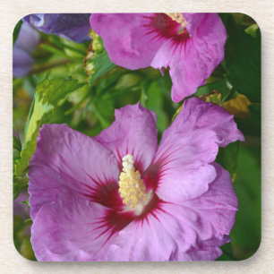 Blume für lila Hibisken Untersetzer