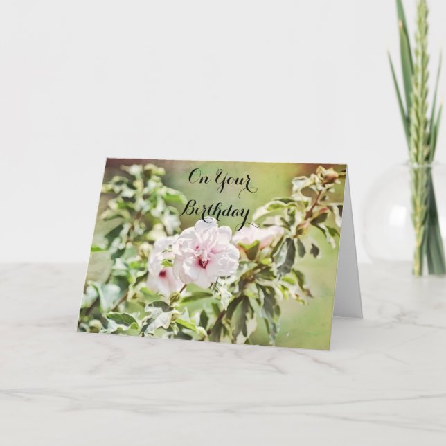 Blume für Soft Hibisken Geburtstagskarte Karte (Vorderseite)