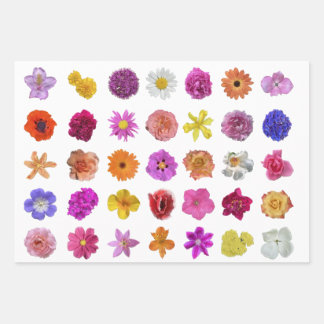 BLUME GALORE! Geschenkpapier Set