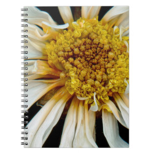 Blume - Gänseblümchen - Betrunkene Sonne Notizblock