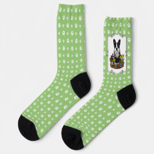 Blume Gardener Boston Terrier (schwarzer Niedliche Socken