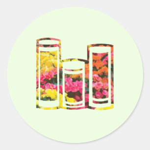 Blume Gelb und Rosa Rieger Begonia Runder Aufkleber
