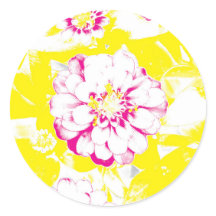 Blume Gelb und Rosa Sommer Dahlia