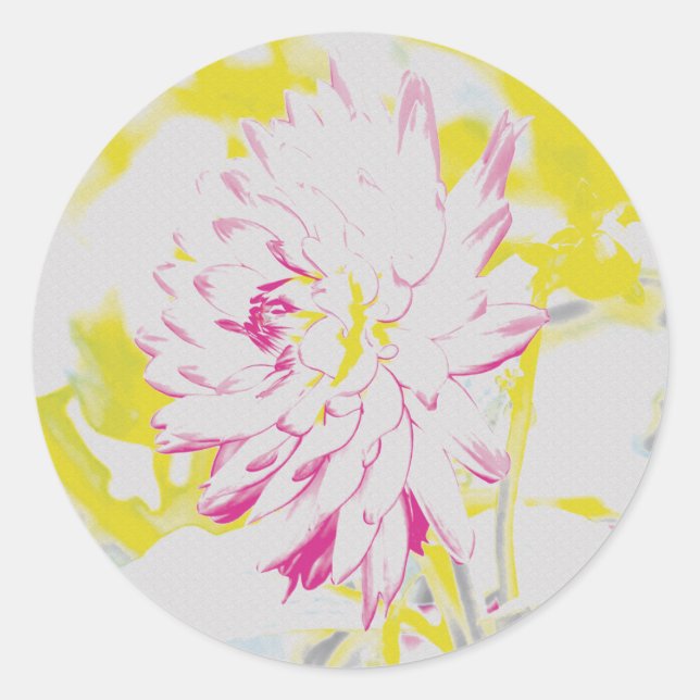 Blume Gelb und Rosa Sommer Dahlia Runder Aufkleber (Vorderseite)