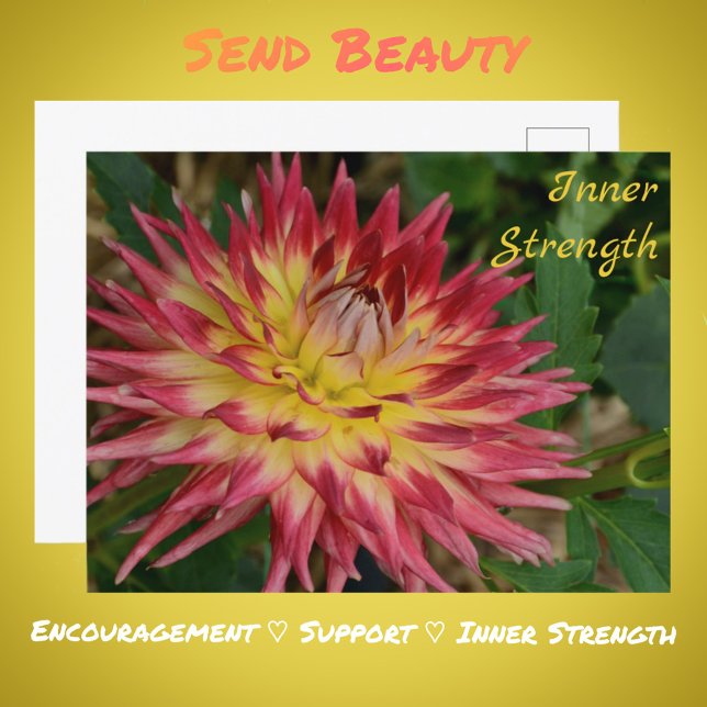 Blume Gelb und Rot Dahlia Botanisches Flora Postkarte (Von Creator hochgeladen)