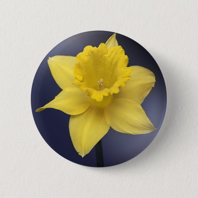 Blume Gelbe Narzisse Aquarellfarbe Button (Vorderseite)