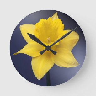 Blume Gelbe Narzisse Aquarellfarbe Runde Wanduhr