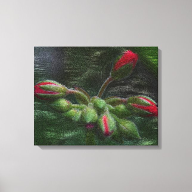 Blume Geranium Buds Leinwanddruck (Vorderseite)