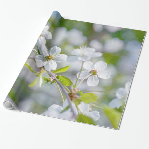 Blume Geschenkpapier