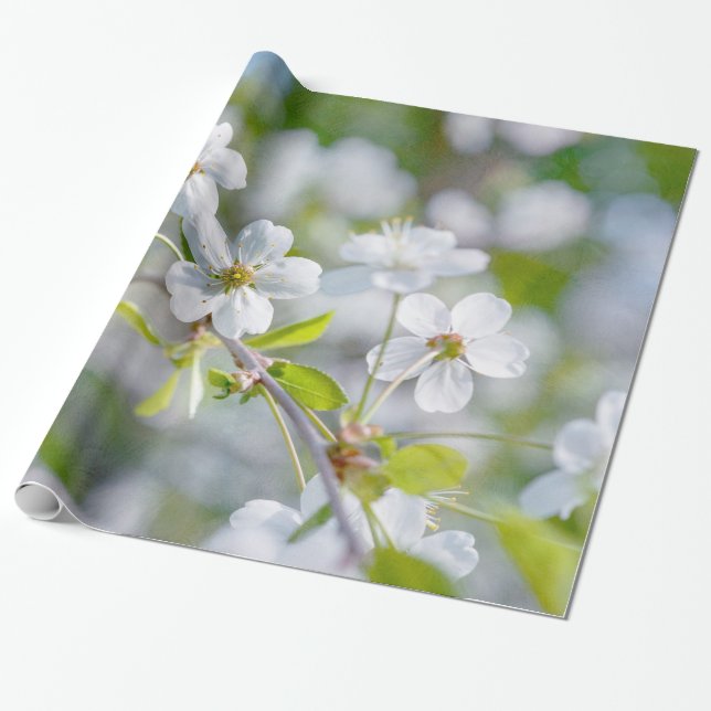 Blume Geschenkpapier (Ungerollt)