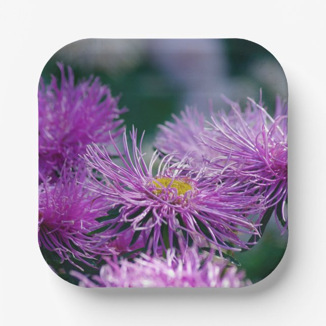 Blume-Geschichten/Aster-Blume Pappteller (Vorderseite)