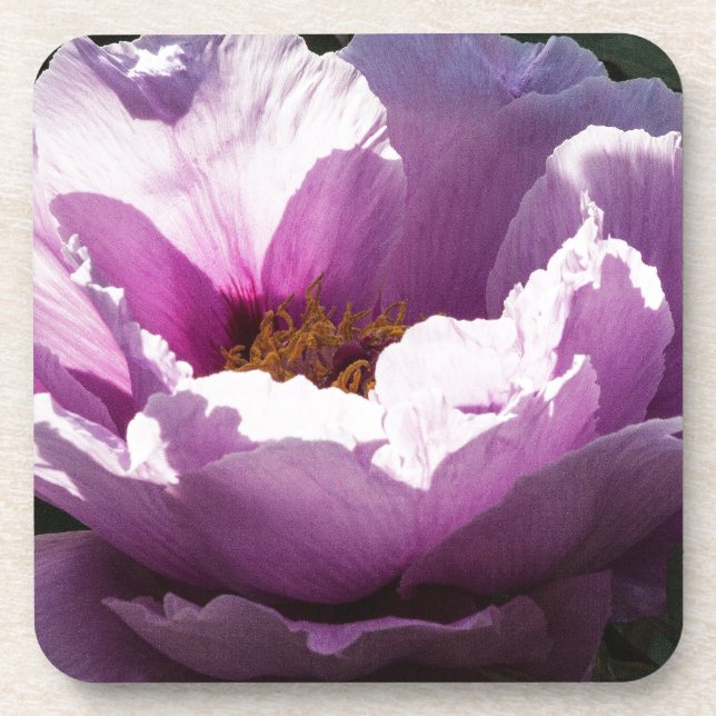 Blume Getränkeuntersetzer (Vorderseite)
