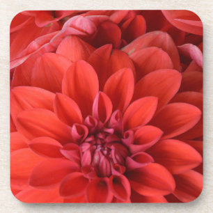 Blume Getränkeuntersetzer