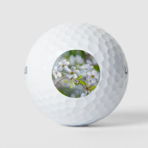 Blume Golfball