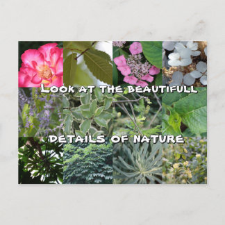 Blume-Grün-Grün-Frühling-Frühstück Postkarte
