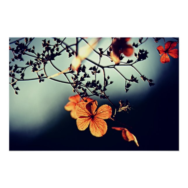 Blume Herbst Poster (Vorderseite)
