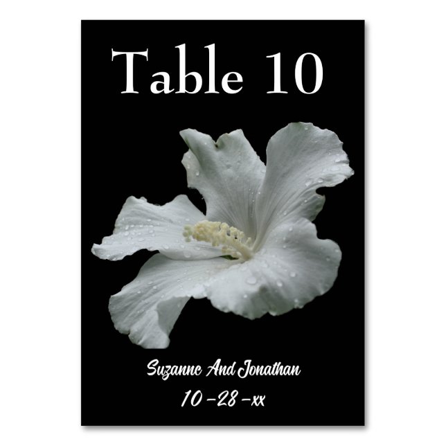 Blume-Hochzeit mit weißem Hibiskus Tischnummer (Vorderseite)