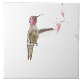 Blume Hummingvogel und Single Fliese