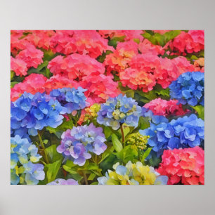 Blume Hydrangea Wasserfarben Art Poster