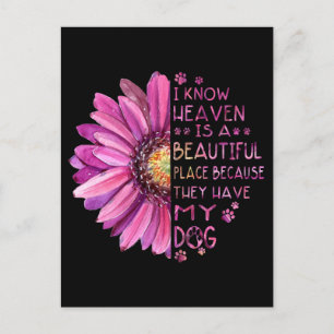 Blume ich weiß, Himmel ist ein schöner Ort Paws Hu Postkarte