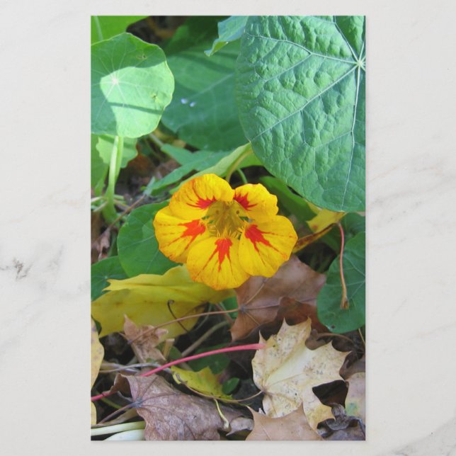 Blume im Blätter Briefpapier (Vorderseite)