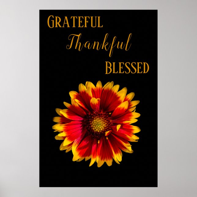 Blume im Blut Poster (Vorne)