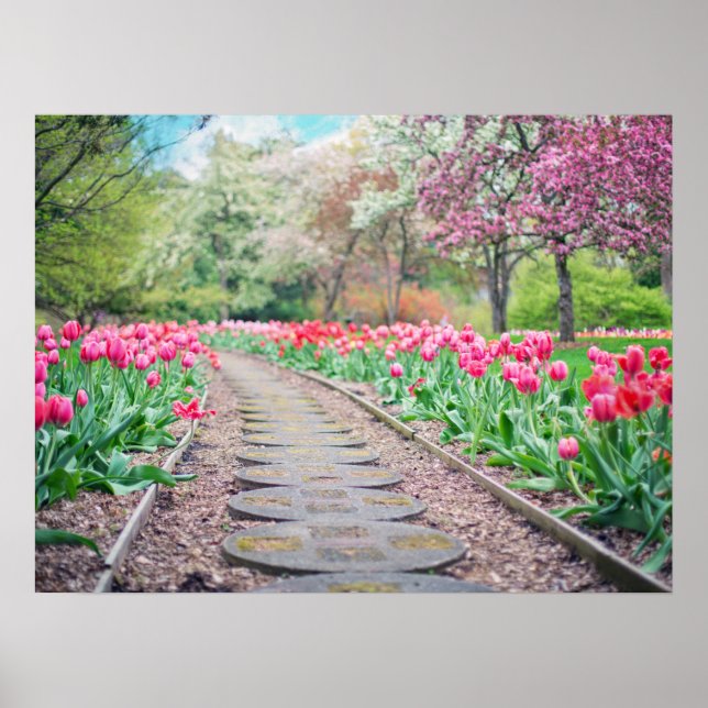 Blume im Freien Spazio -1 Poster (Vorne)