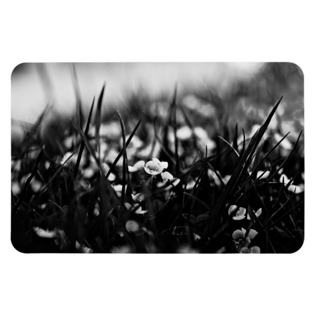 Blume im Frühjahr Magnet (Horizontal)