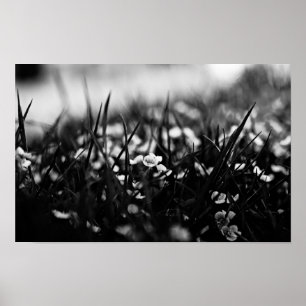 Blume im Frühjahr Poster