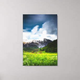 Blume im Frühjahr unter dem Berg Krn Leinwanddruck