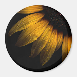 Blume im Garten 28 Sonnenblumen Magnet