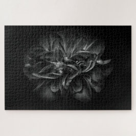 Blume im Garten in Schwarz und Weiß 67