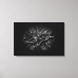 Blume im Garten in Schwarz und Weiß 67 Leinwanddruck