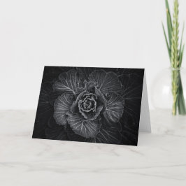 Blume im Garten in Schwarz und Weiß Nr. 108 Karte