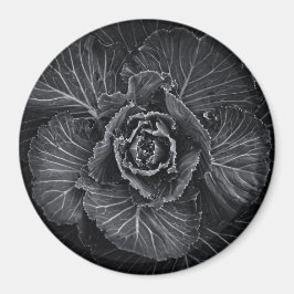 Blume im Garten in Schwarz und Weiß Nr. 108 Magnet