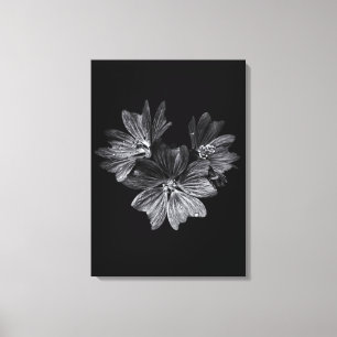 Blume im Garten in Schwarz und Weiß Nr. 11 Leinwanddruck