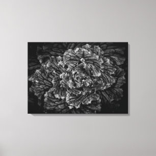 Blume im Garten in Schwarz und Weiß Nr. 42 Leinwanddruck